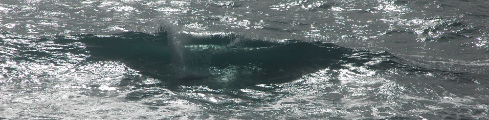 Freezes.com, Site Header